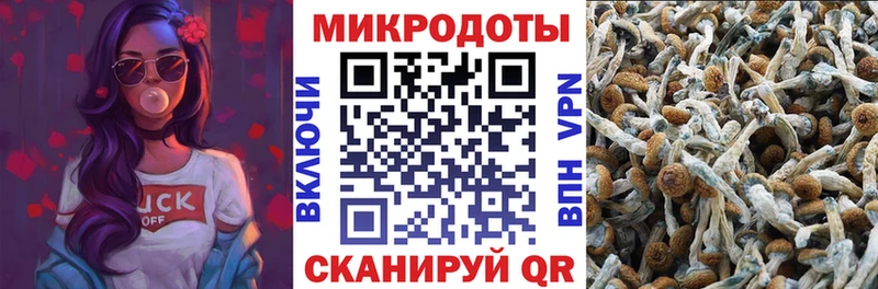 Купить закладки  Павловский Посад  Псилоцибиновые грибы прущие грибы 