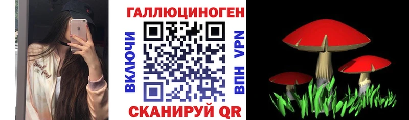 Галлюциногенные грибы мухоморы Павловский Посад